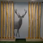 Turmalin Appartement