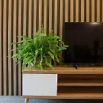Appartement Turmalin Świeradów-Zdrój