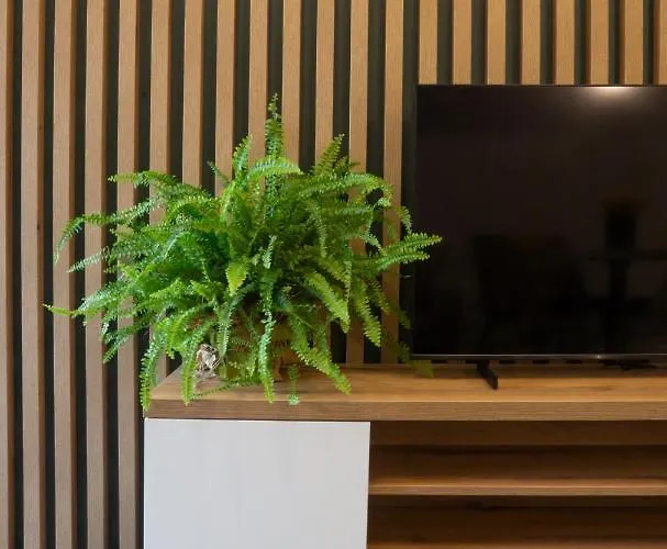 Apartamento Turmalin Świeradów-Zdrój